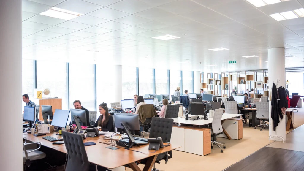 Professional team working together in a busy company office